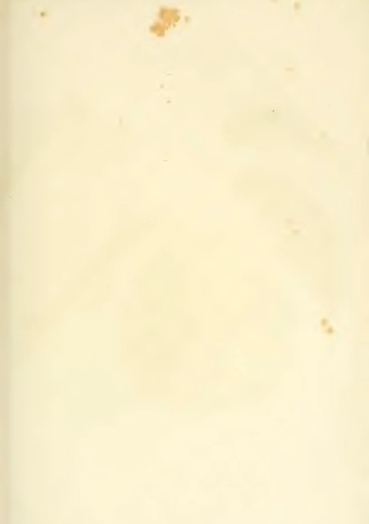 Illustration from Hovey, The Fruits of America (1852)