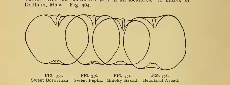Illustration from Thomas, The American Fruit Culturist (1903)