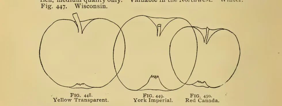 Illustration from Thomas, The American Fruit Culturist (1903)