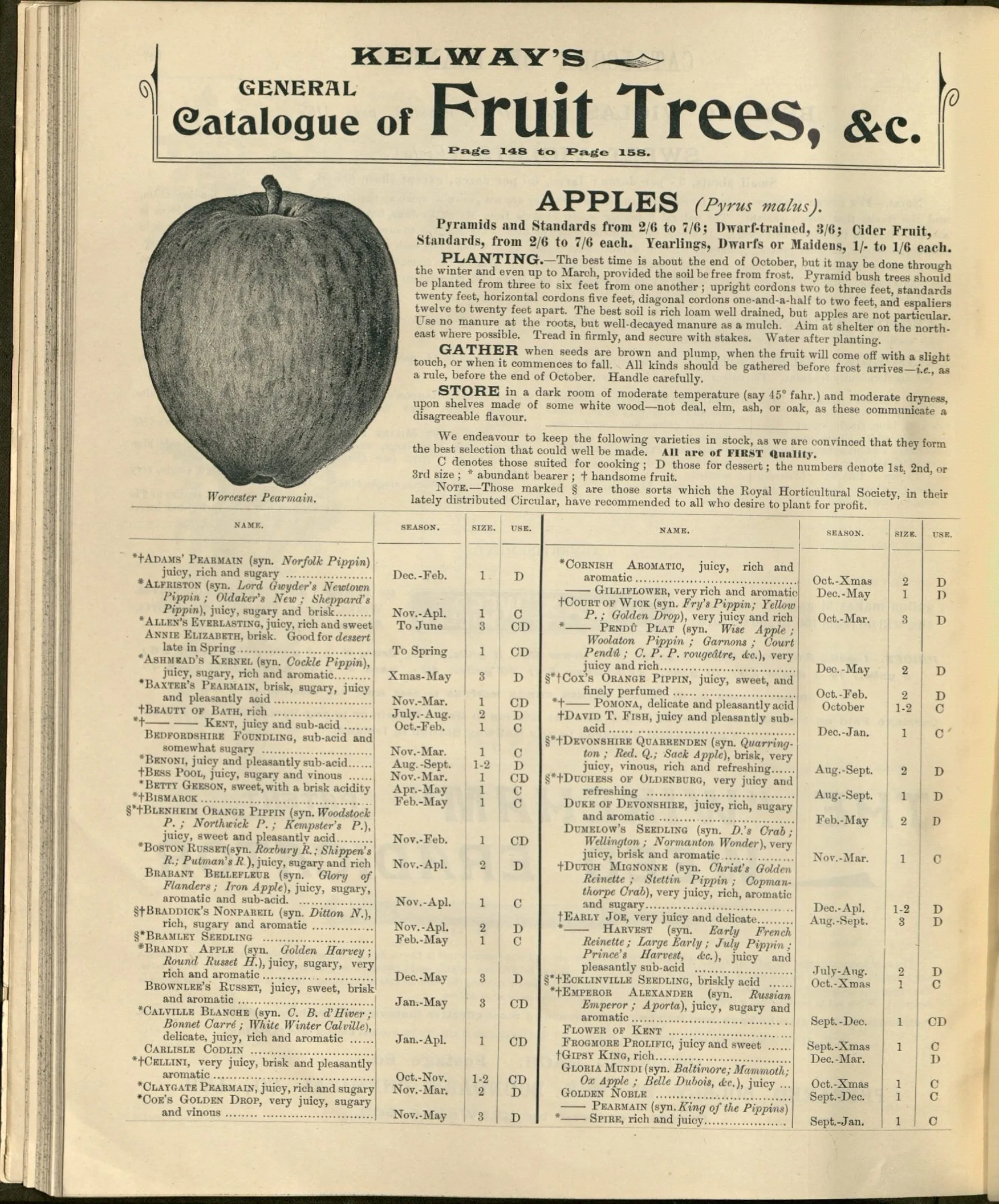 Illustration from Kelways Manual (1897)