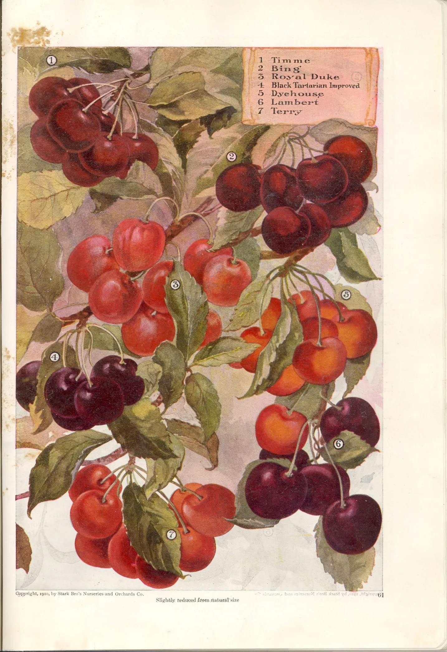 Illustration of Lyon