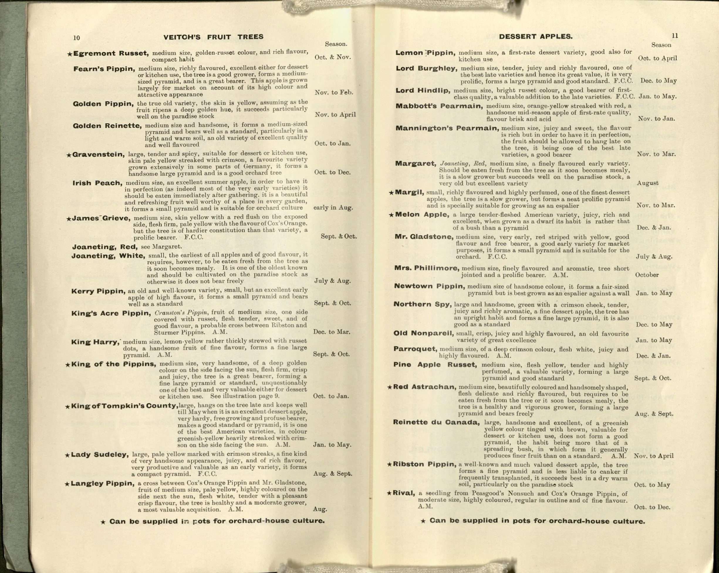 Illustration of Bow Hill Pippin