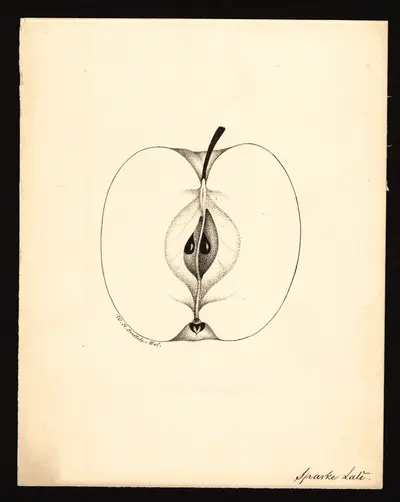 Watercolor of Spark's Late