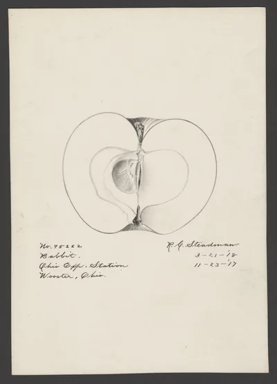 Watercolor of Babbitt