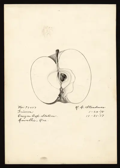 Watercolor of Grimes