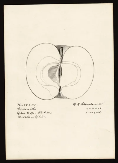 Watercolor of Greenville