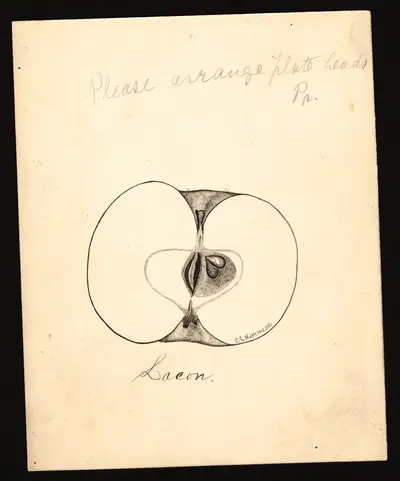 Watercolor of Lacon