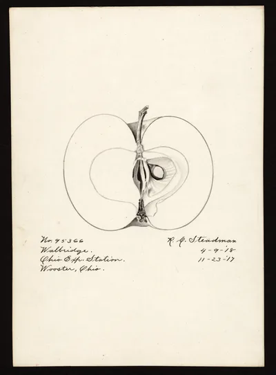 Watercolor of Walbridge