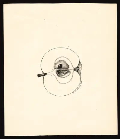 Watercolor of Red Transparent