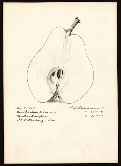 Watercolor of Bon-Chretien de Vernois