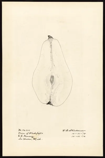 Watercolor of Vicar Of Winkfield