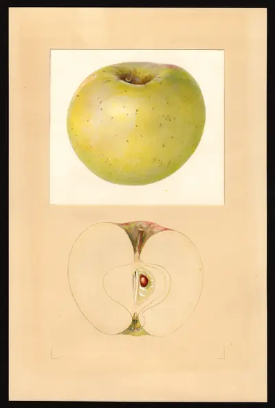 Watercolor of Earlham
