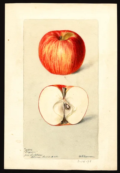 Watercolor of Ingram