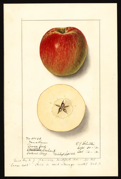 Watercolor of Jonathan