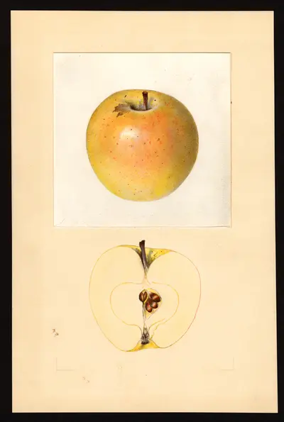 Watercolor of Malinda