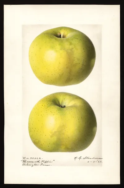 Watercolor of Carter