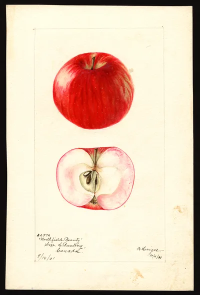 Watercolor of Northfield Beauty