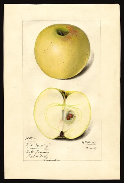 Watercolor of Northwestern Greening