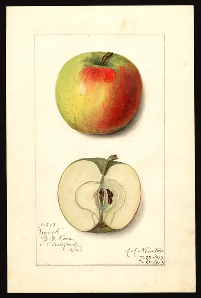 Watercolor of Champlain