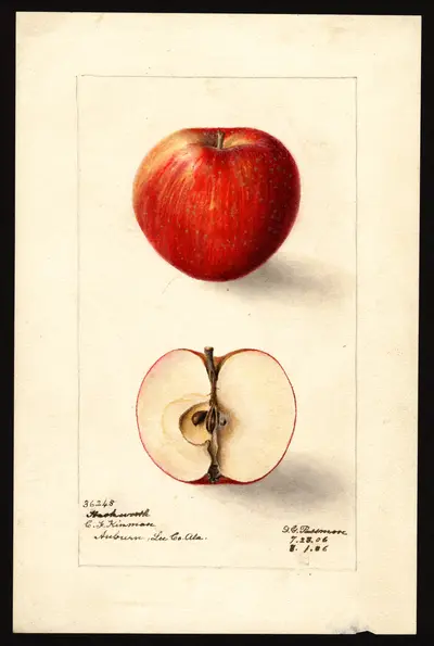 Watercolor of Hackworth