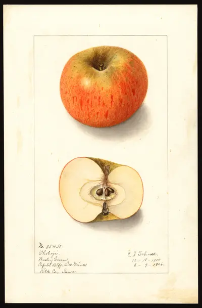 Watercolor of Okoboji