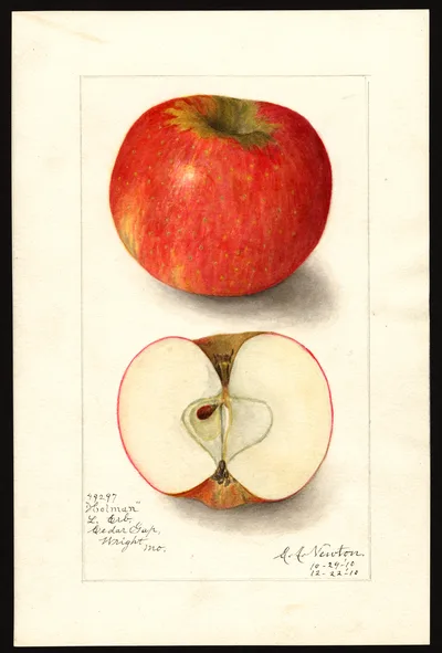 Watercolor of Holman