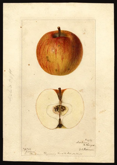 Watercolor of Jackson
