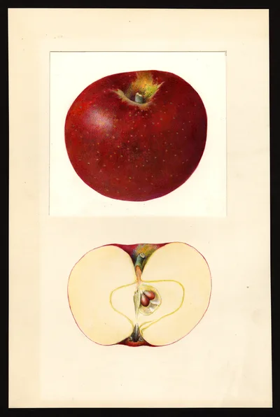 Watercolor of Martin