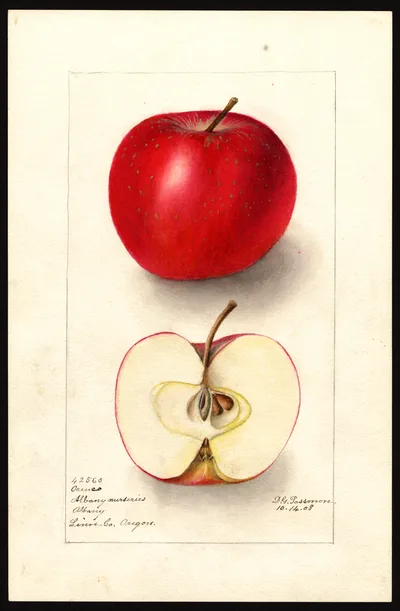 Watercolor of Orenco