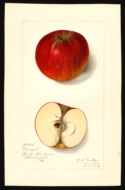 Watercolor of Margil