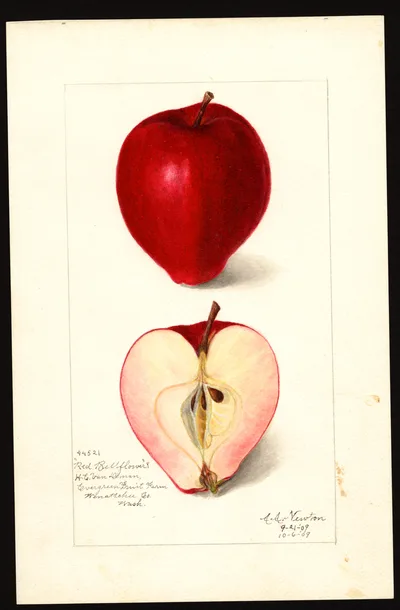 Watercolor of Long John