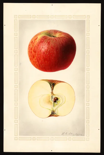 Watercolor of Nickajack