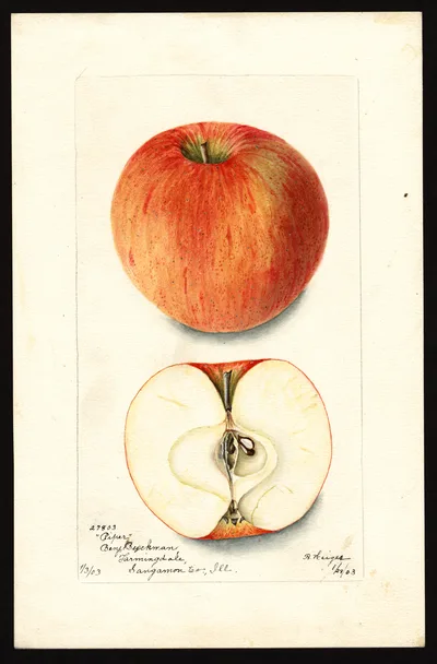 Watercolor of Pifer