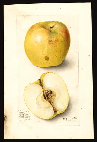 Watercolor of Cleopatra