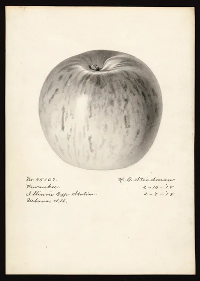 Watercolor of Pewaukee