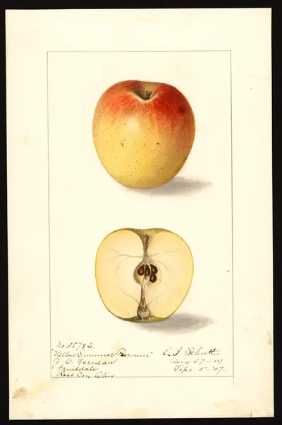 Watercolor of Porter