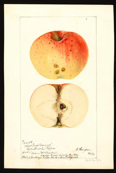 Watercolor of Winthrop Greening