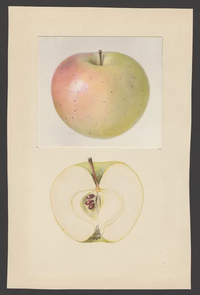 Watercolor of Autumn Bough