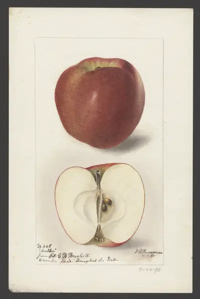 Watercolor of Charlamoff