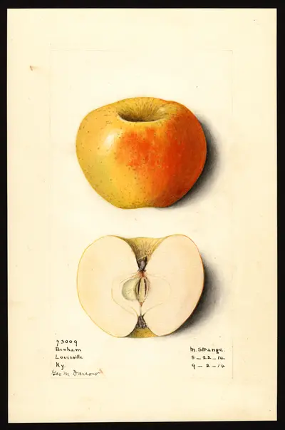 Watercolor of Benham