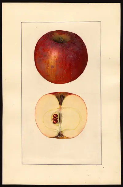 Watercolor of Baltimore