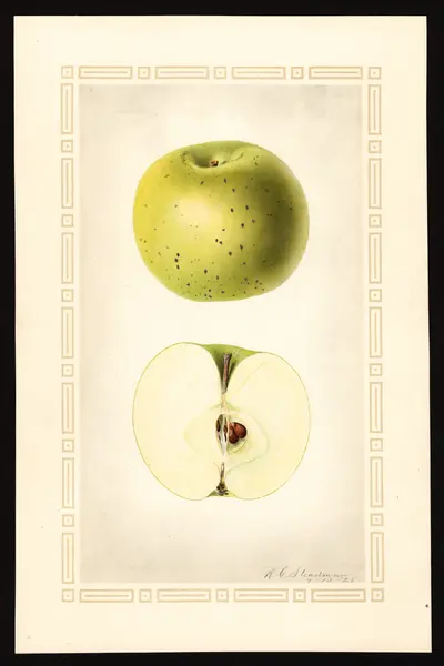 Watercolor of De Chataignier