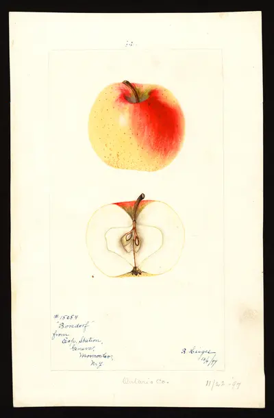 Watercolor of Borsdorf