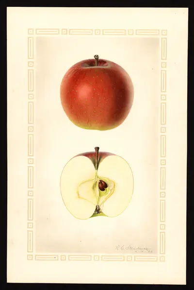 Watercolor of Bentley