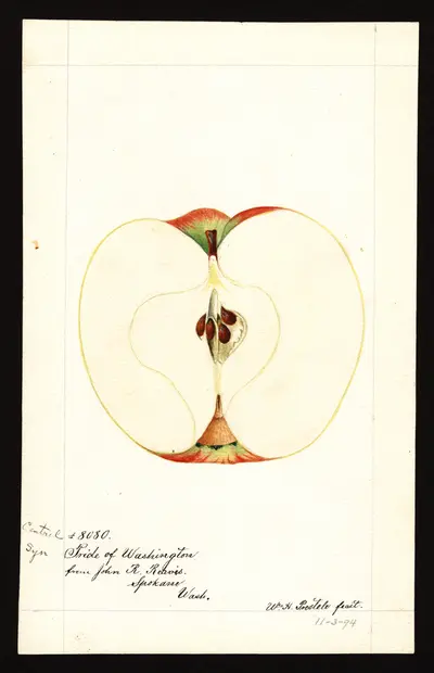 Watercolor of Cantrel