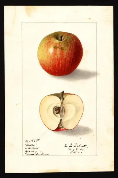 Watercolor of Bible