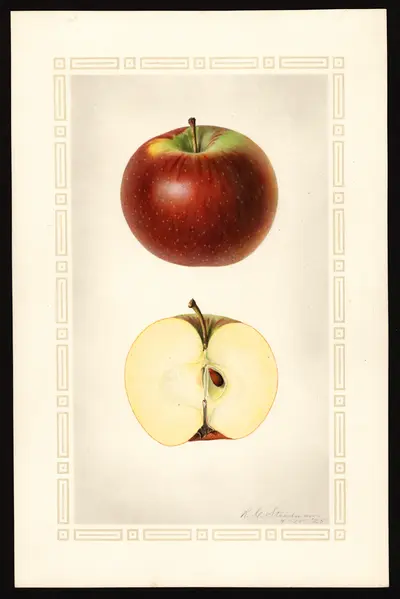 Watercolor of Black Annette