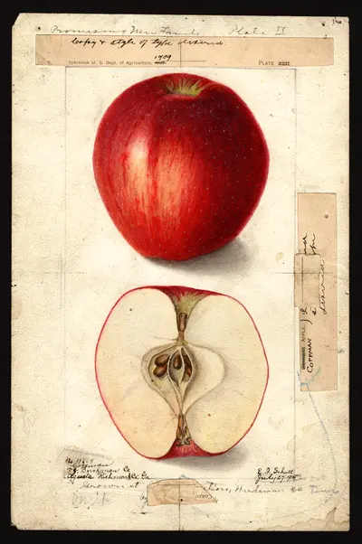 Watercolor of Coffman