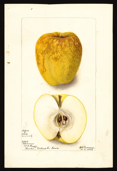 Watercolor of Chisman
