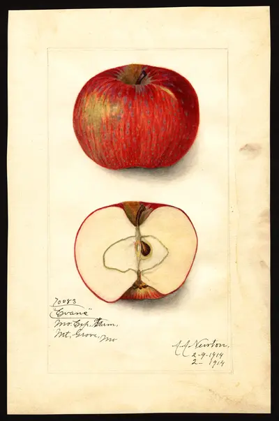 Watercolor of Evans